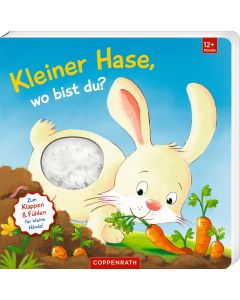 Mein erstes Guckloch-Fühlbuch: Kleiner Hase, wo bist du?