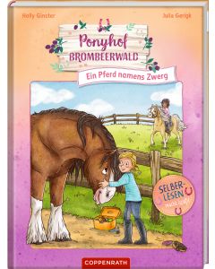 Ponyhof Brombeerwald (Leseanfänger, Bd. 2)