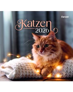 Katzen 2026