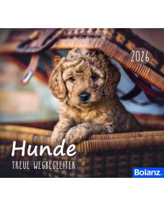 Hunde 2026