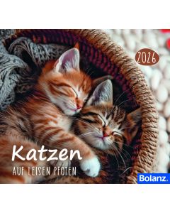 Katzen 2026