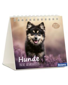 Hunde – treue Wegbegleiter 2027 – Minikalender