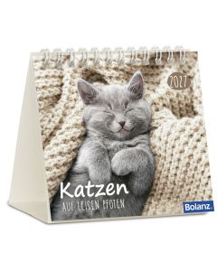 Katzen – auf leisen Pfoten 2027 – Minikalender
