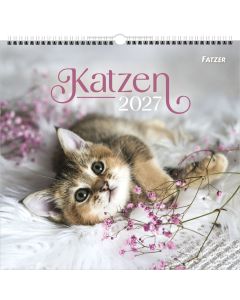 Katzen 2027 – Wandkalender