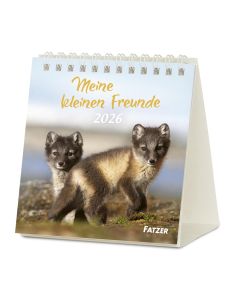 Meine kleinen Freunde 2027 – Tischkalender