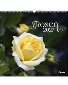 Rosen 2027 – Wandkalender