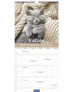 Katzen – Anmut auf vier Pfoten 2027 – Familienplaner