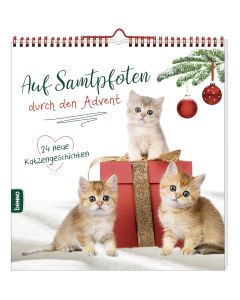 Auf Samtpfoten durch den Advent