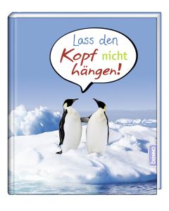Lass den Kopf nicht hängen!