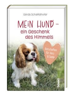 Mein Hund – ein Geschenk des Himmels
