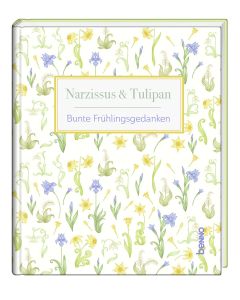 Narzissus & Tulipan
