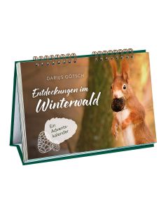 Entdeckungen im Winterwald