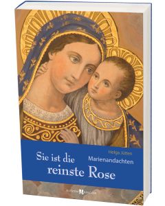 Sie ist die reinste Rose