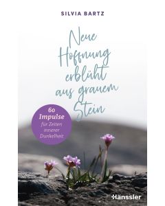 Neue Hoffnung erblüht aus grauem Stein