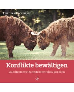 Konflikte bewältigen