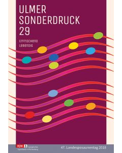 Ulmer Sonderdruck 29