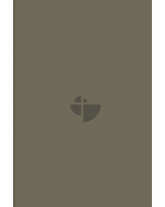 Schlachter 2000 Bibel - Taschenausgabe (PU-Einband, sandfarben, blauer Farbschnitt)