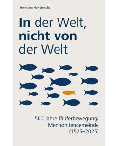 In der Welt nicht von der Welt