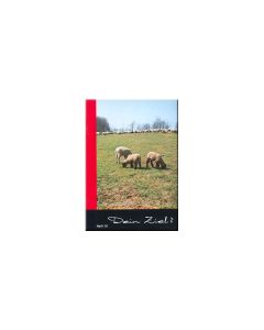 Dein Ziel? - Heft 10