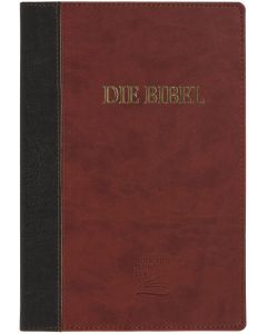 Schlachter 2000 Bibel - Großdruckausgabe (Softcover, grau/braun)