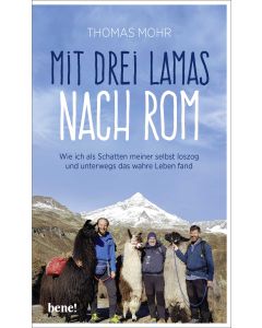 Mit drei Lamas nach Rom