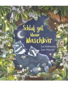 Schlaf gut, kleiner Waschbär – ein Bilderbuch für Kinder ab 2 Jahren