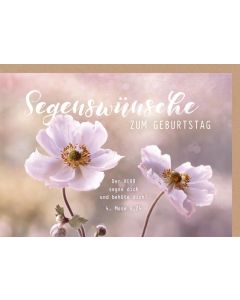 Faltkarte 'Segenswünsche zum Geburtstag' 1x