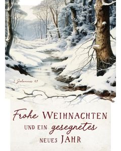 Postkarte 'Frohe Weihnachten und ein gesegnetes neues Jahr'