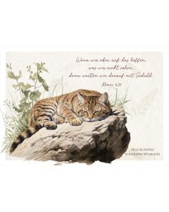 Postkarte 'Wenn wir aber..' Wildkatze (12 Ex.)