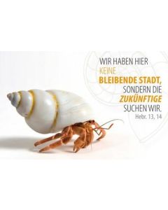 10er Scheckkartenkalender 2013 Wir haben