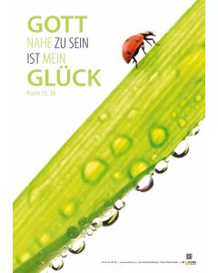 Poster A3 laminiert 'Gott nahe zu sein ist mein Glück'