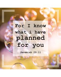 Postkarte 'For I know what I have planned for you. Jeremiah
