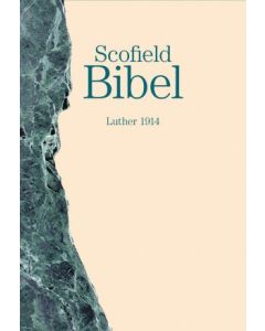 Scofield Bibel Luther 1914 (Occasion)